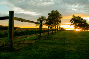 View of a sunrise on a farm.