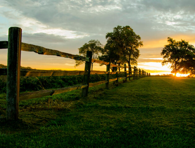 View of a sunrise on a farm.
