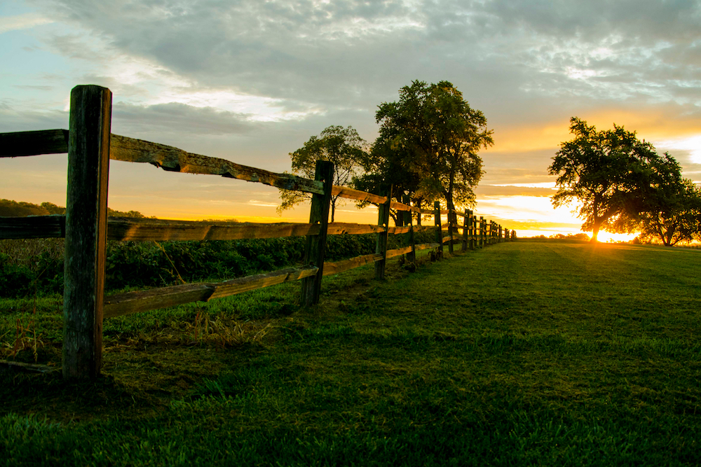 View of a sunrise on a farm.